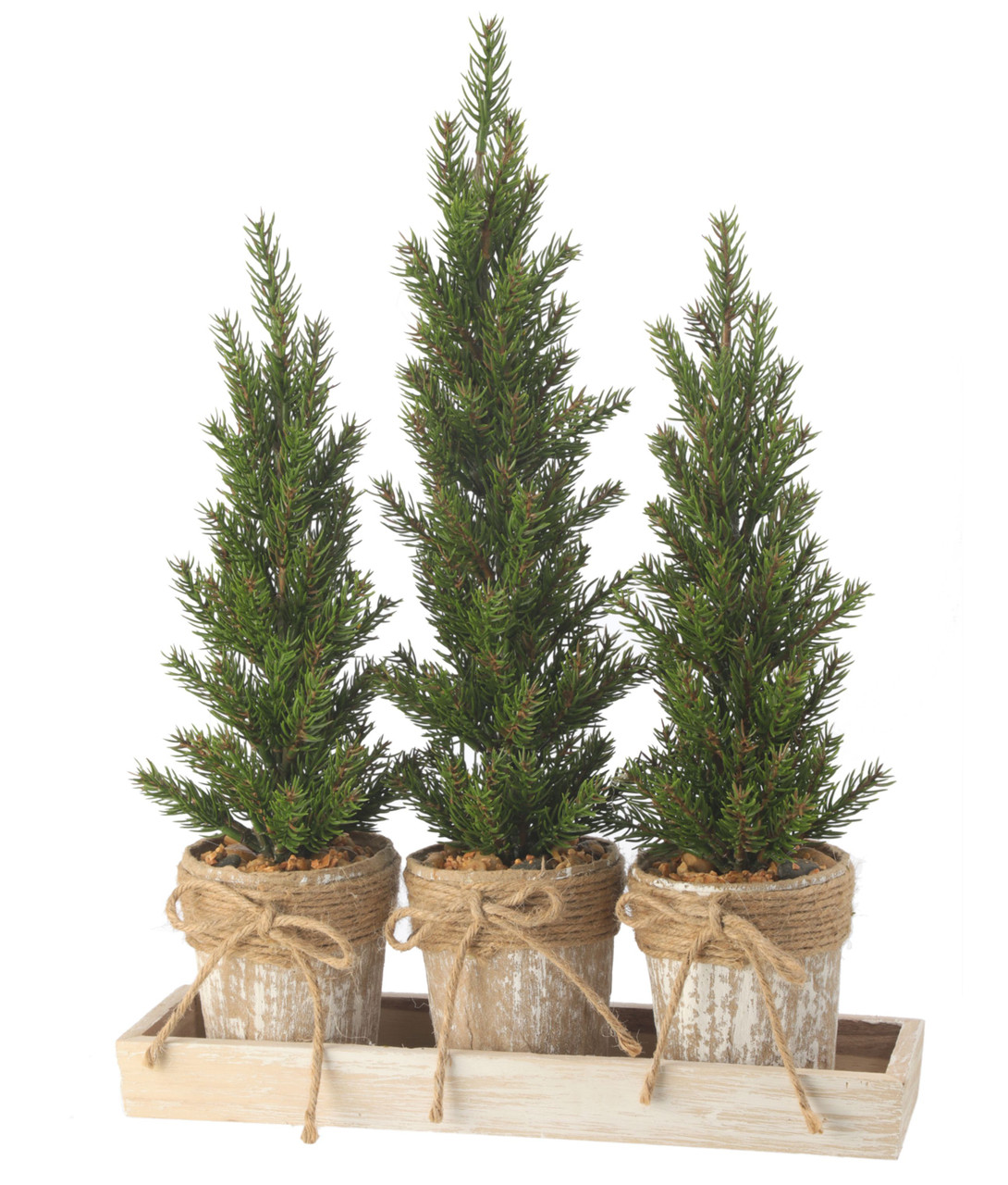 Triple Potted Pine Seedling Tray
