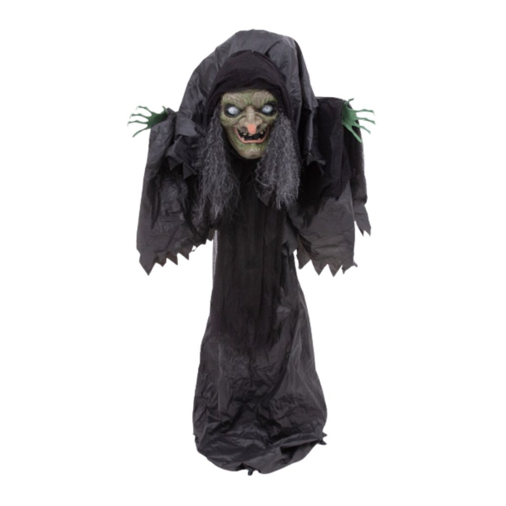 Lighted Animated Witch with Sound