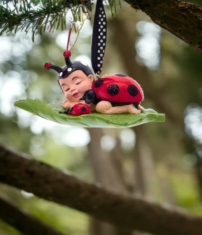 Ladybug 