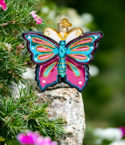 Butterfly 