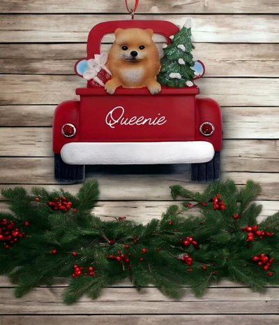 Personalized Pet