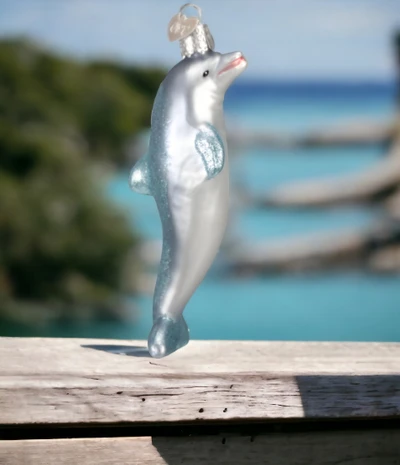 Dolphin 