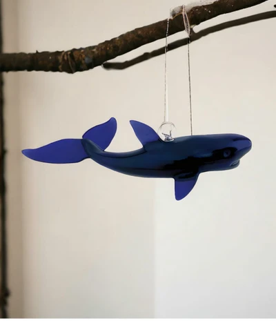 Whale 