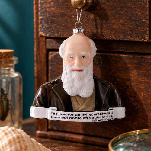 Cody Foster Charles Darwin Ornament – glass Christmas ornament styled in a fun, eclectic home scene