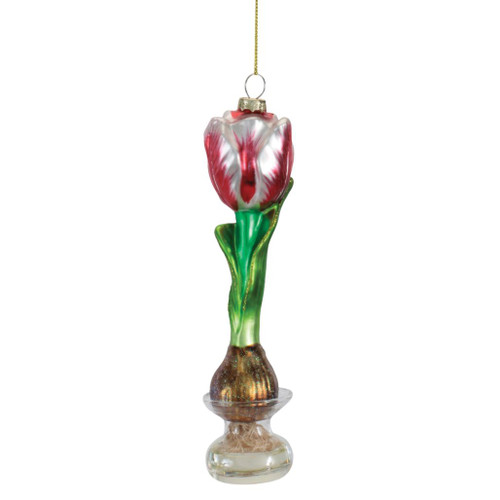 7-inch red and white striped tulip glass ornament with green stem and clear vase.

Hanging glass tulip ornament with red and white petals, green leaves, and golden-brown bulb.

Red and white floral Christmas ornament depicting a tall tulip growing from a bulb in a clear vase.