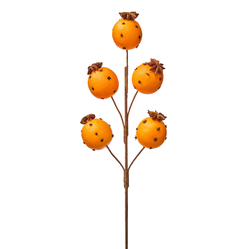 19.5-Inch Clove Orange Christmas Spray