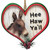 Hee Haw Ya'll Donkey Ornament