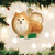 2.5" Standing Pomeranian Ornament
