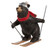 Skiing Black Bear Resin Figurine