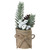 Festive Pine and White Berries In Burlap