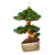 Cody Foster Glass Bonsai Tree Ornament