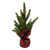 Miniature Pine Tree with Tartan Base Decor