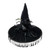 Enchanted Spider Witch Hat