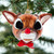 Rudolph The Red Nose Reindeer Head Ornament