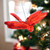 Autumn Dragonfly Ornament - Red