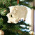 Ewe and Lamb Ornament