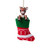 Rudolph In Stocking Ornament