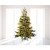 480 Micro-LED Warm White and Classic Warm Compact Twinkle Lights Gold Wire
