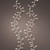 Lumineo 1,000 LED Warm White Soft Glow Compact Twinkle Lights