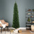 Everlands 9 Foot Unlit Pencil Pine Tree