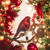 4 Inch Red & Brown Bird Clip-On Ornament