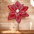 22 Inch Sugar & Spice Poinsettia Stem