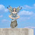 Fairy Meditating on Stone Figurine