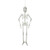 Glow-in-the-Dark Hanging Skeleton