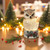 Lighted Spinning Birch Owl Water Globe