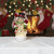 Lighted Spinning Snowman Water Globe