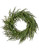 24" Just Cut Norfolk Pine Wreath
