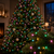 Christmas Lights