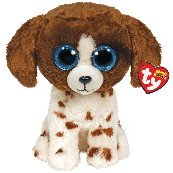 Muddles - Brown And White Dog
