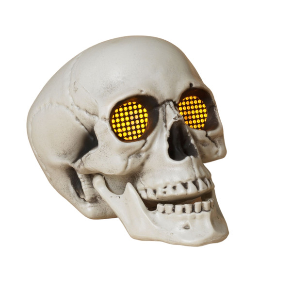 Light Up Skull w/Sound