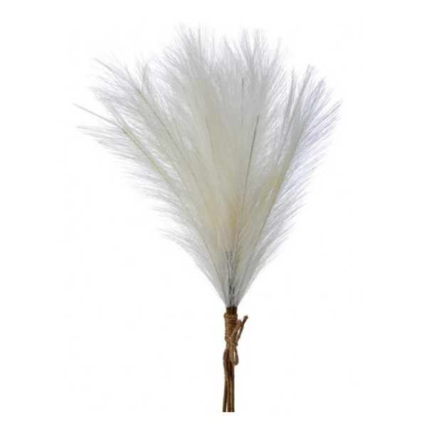 Cream Feather Pampas Grass Bundle