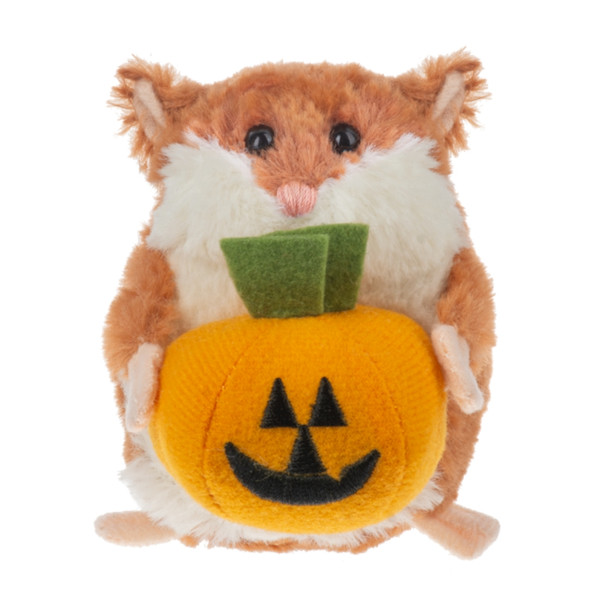 Boo-tiful Li'l Hamster With Pumpkin