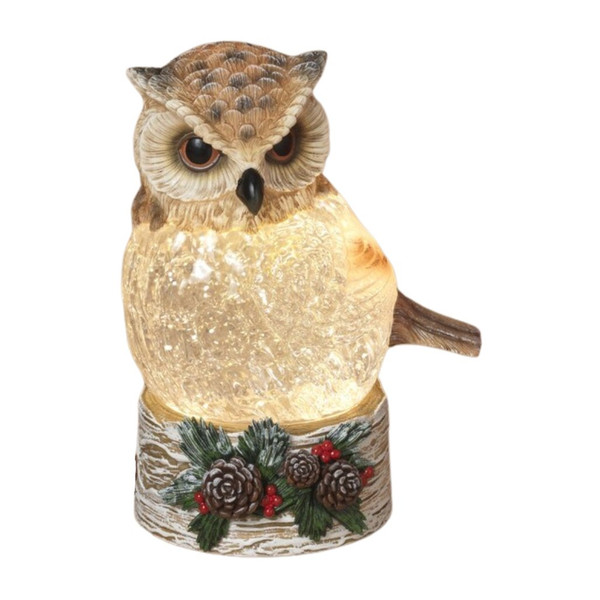 Lighted Spinning Birch Owl Water Globe