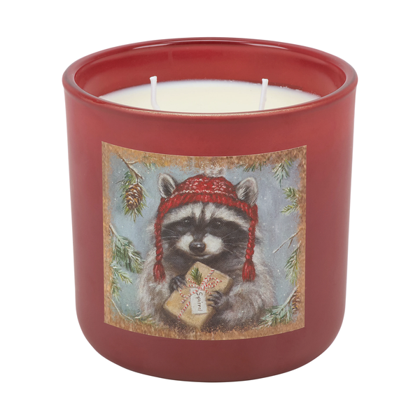 Winter Raccoon Juniper Scented Candle