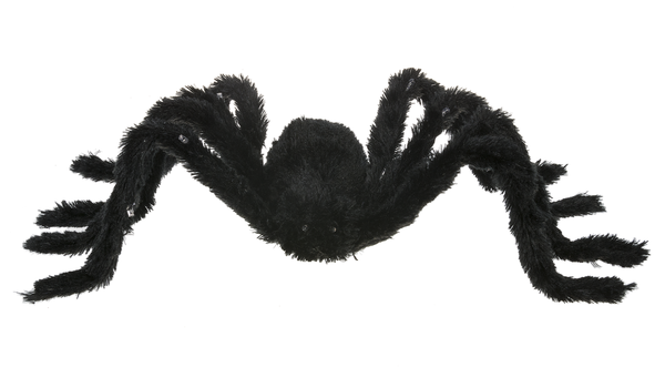 Light Up Spider