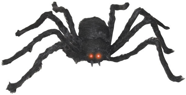 Black Spider