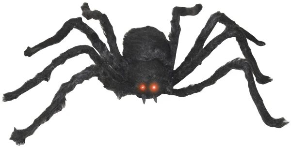 Black Spider