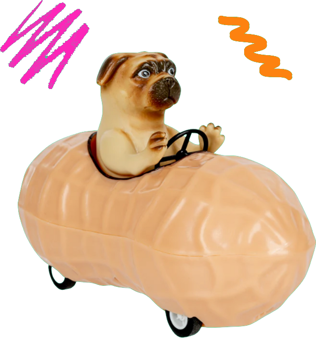 Pug driving a peanut car toy and pink and orange swipes