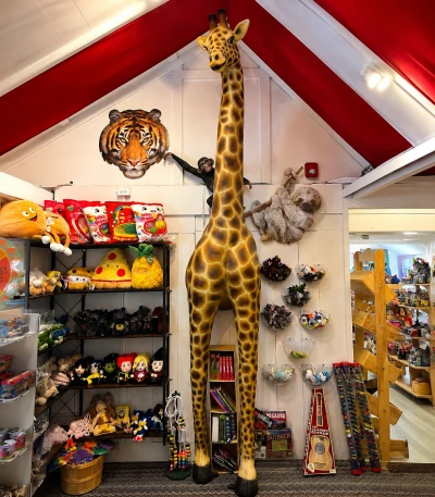 Toys & Games