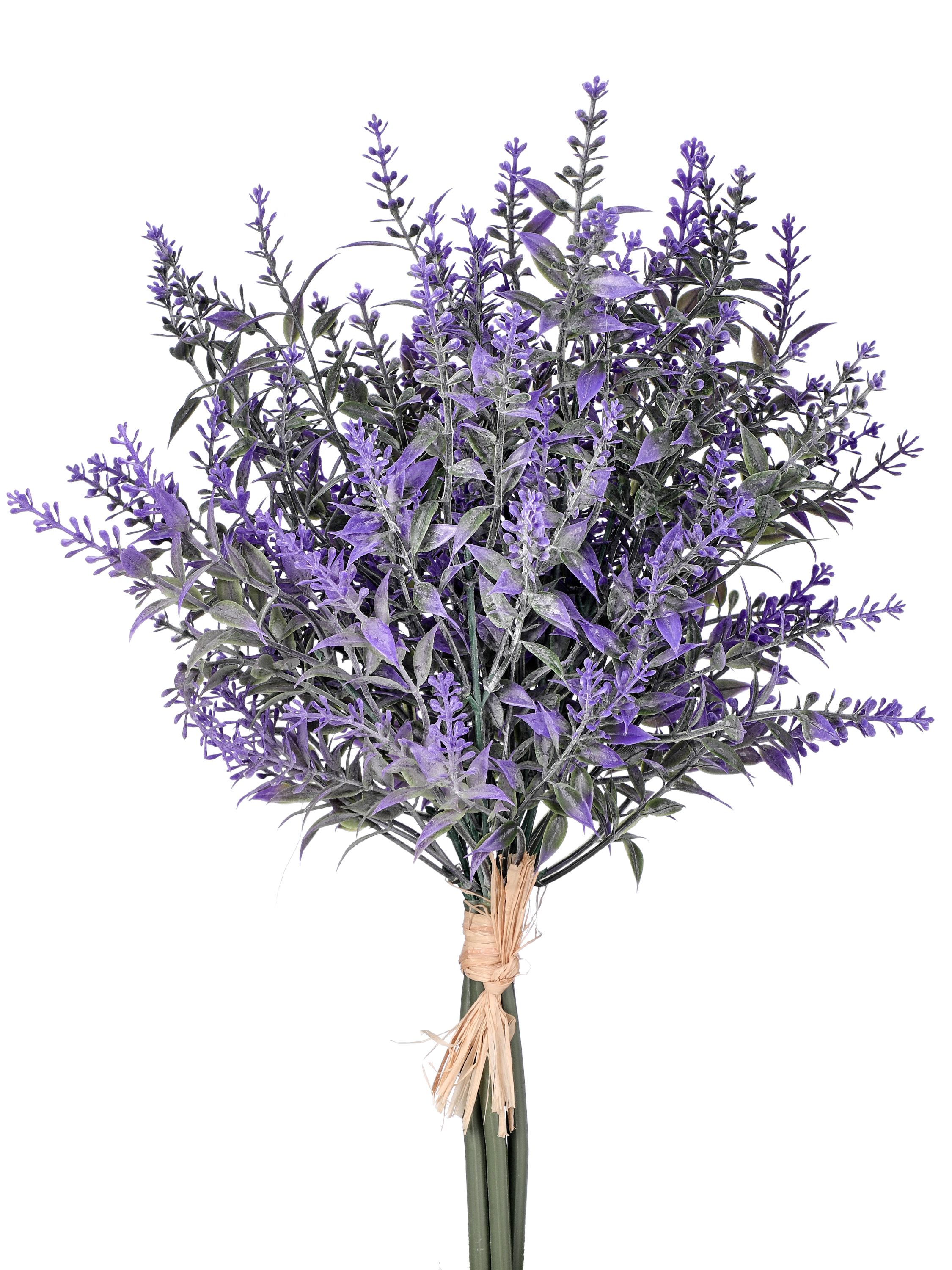 Lavender Bundle