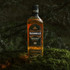 Bushmills 10 Year Old Malt Whiskey