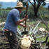 Don Amado Mezcal Rústico