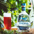 O'ndina Gin