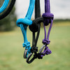 Attached to matching Lead Ropes