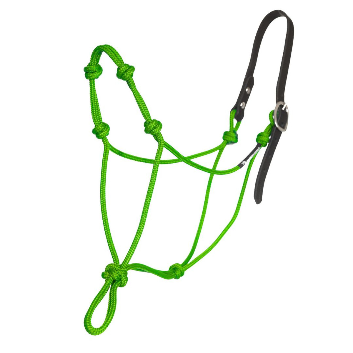 4 Knot Neon Green with Black Crown