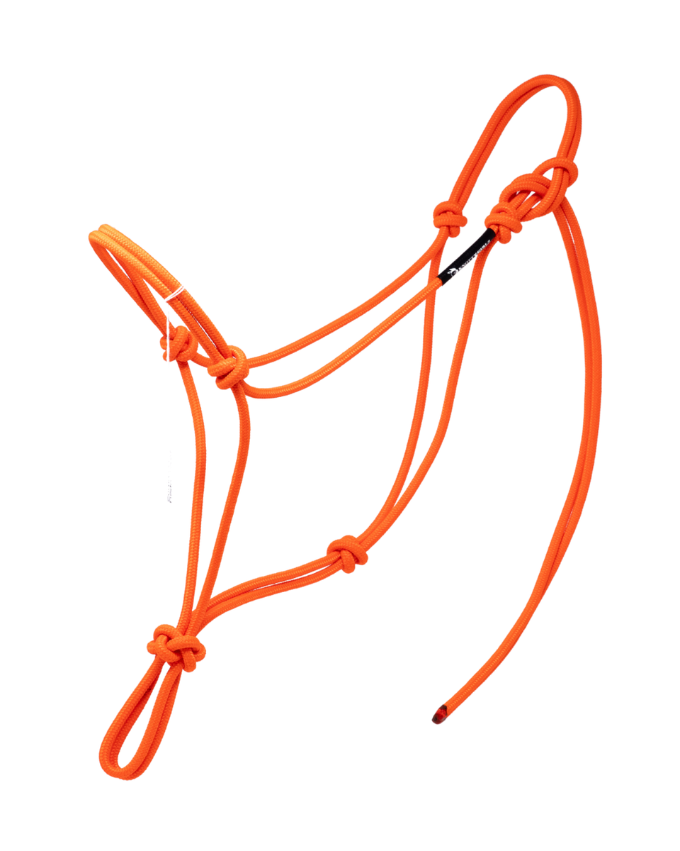 Essential 2 Knot Stiff Halter (See Description)